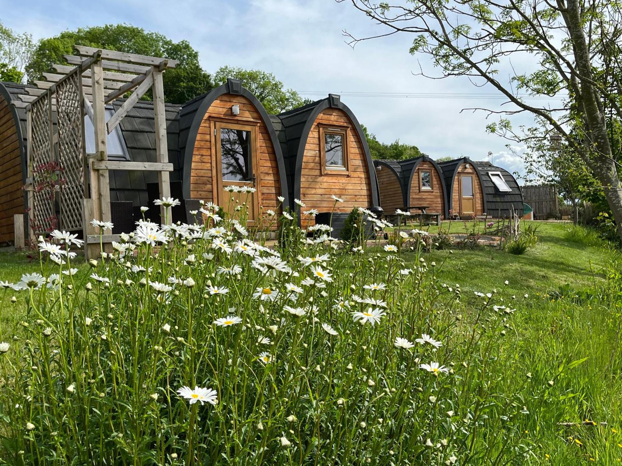 Готель Hedgehog Glamping Pod School House Farm Leighton  Екстер'єр фото
